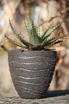 stoneware pot